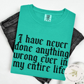 Adult - I Have Never Done Anything Wrong