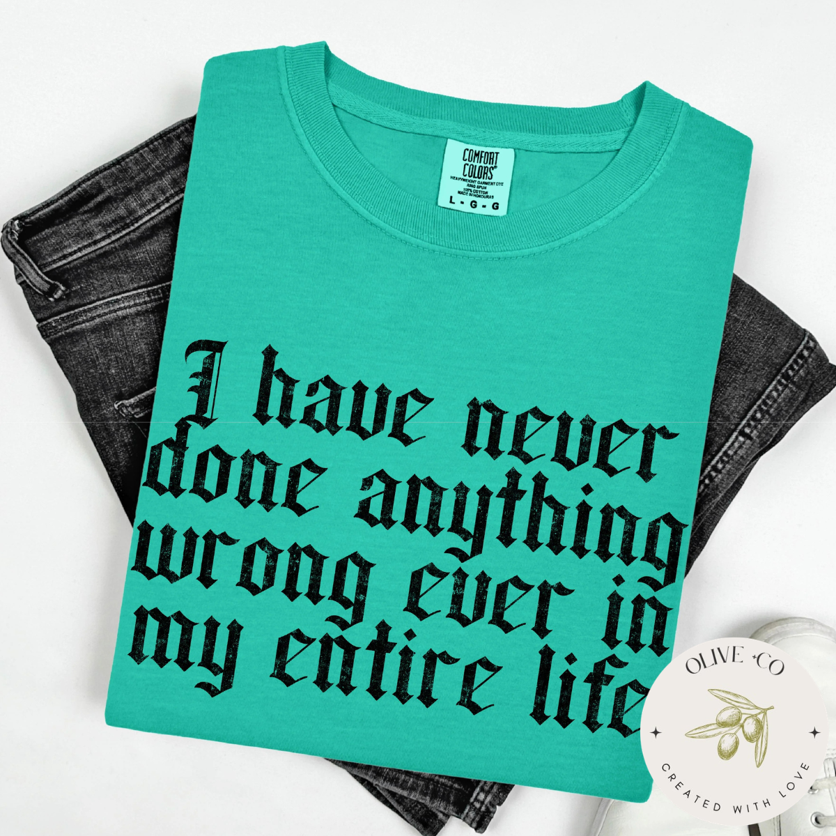 Adult - I Have Never Done Anything Wrong