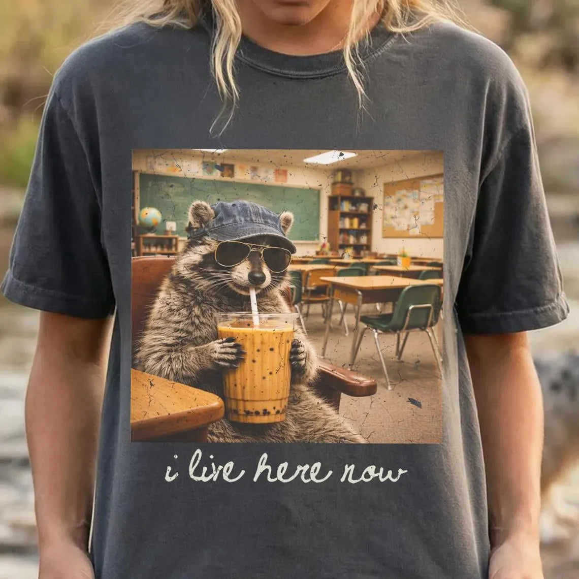Adult - I live here now Raccoon (classroom)